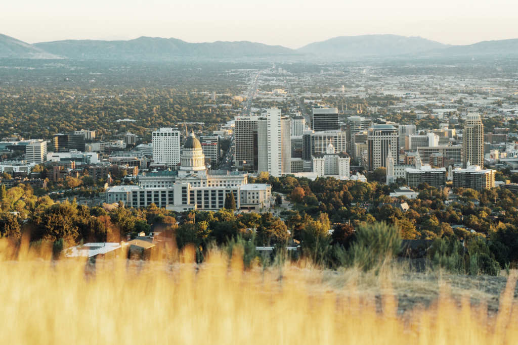 View of Tooele Utah with tall grass in the foreground